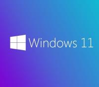 MICROSOFT WINDOWS 11 PRO FQC-10556 64Bit (OEM) Türkçe